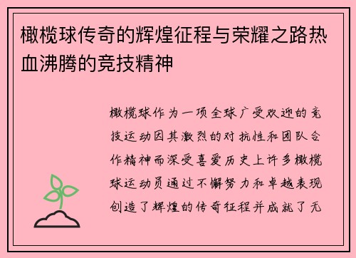 橄榄球传奇的辉煌征程与荣耀之路热血沸腾的竞技精神